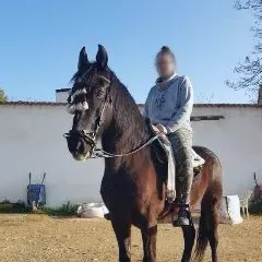 Elisa, 31